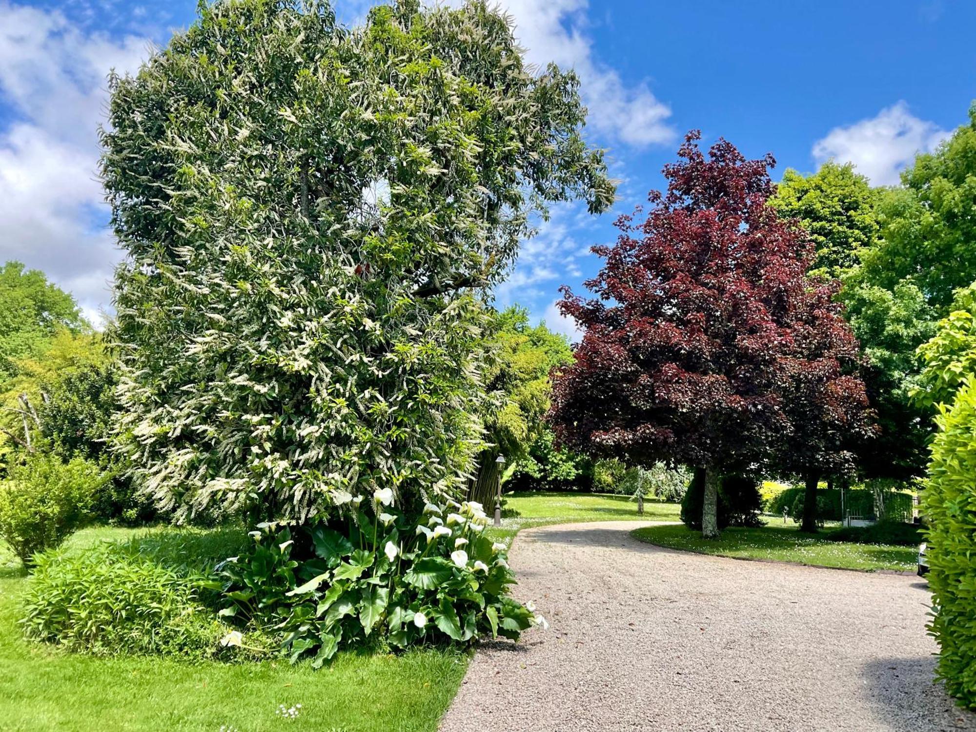 Le Clos Du Benestar Mauvezin-d'Armagnac Exteriör bild